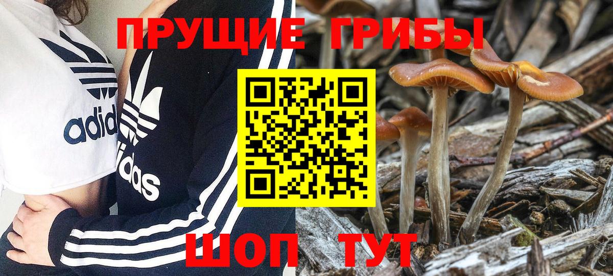 Псилоцибиновые грибы ЛСД Азов