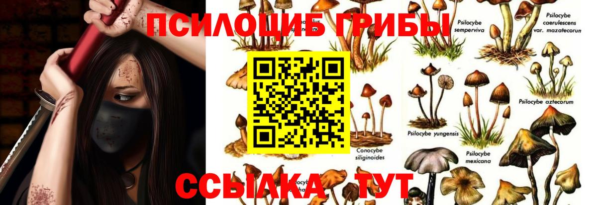 Псилоцибиновые грибы Psilocybe  Галлюциногенные грибы GOLDEN TEACHER  Азов  Вход с VPN 